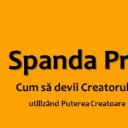 Despre Spanda Project