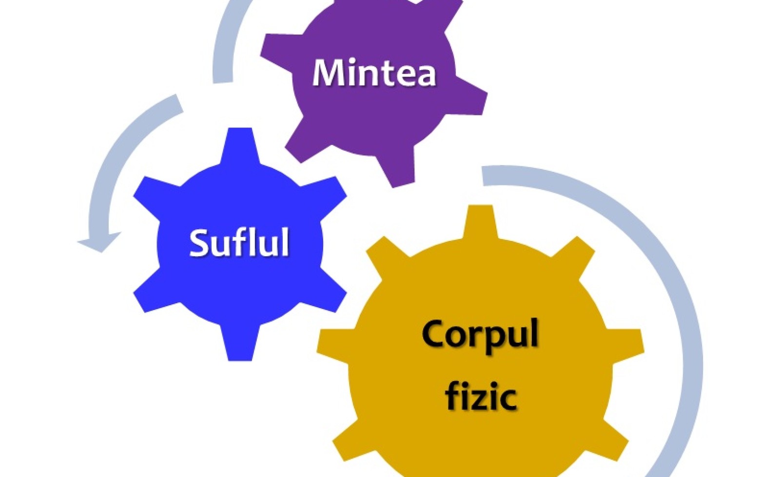 Mintea – Suflul – Corpul fizic